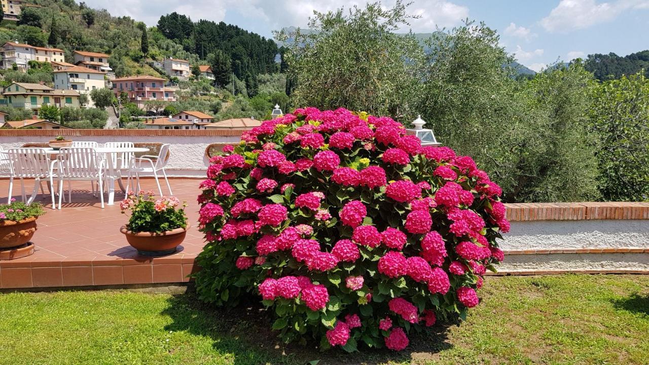 Villa Casa Vittoria à Corsanico-Bargecchia Extérieur photo