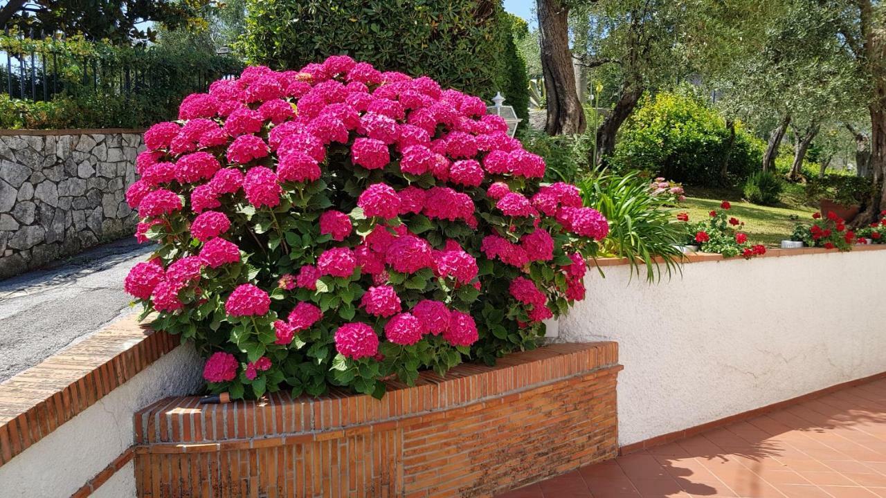 Villa Casa Vittoria à Corsanico-Bargecchia Extérieur photo